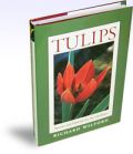 Tulips, Species and Hybrids for the Gardener ( -   )